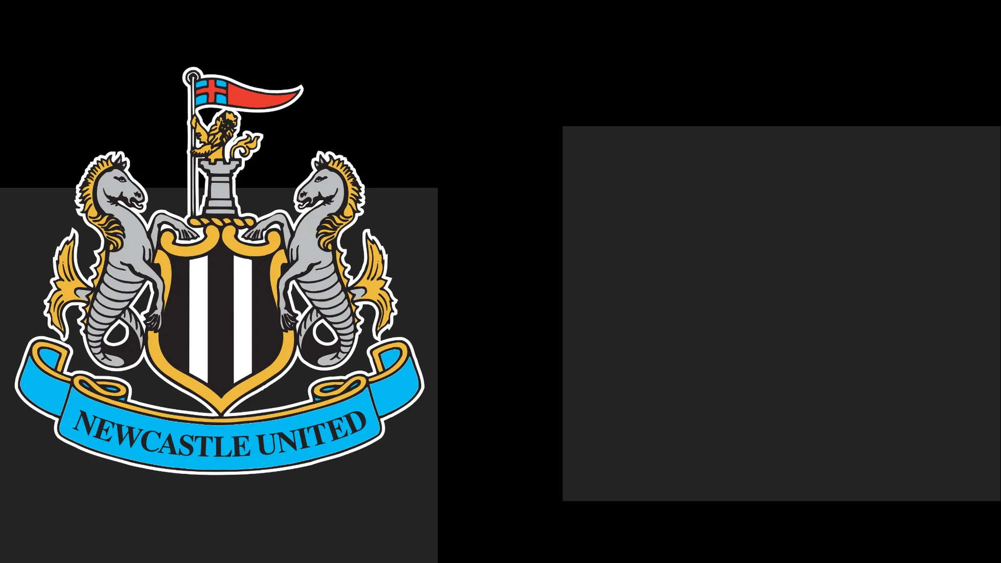 Newcastle Issue Apology to Followers Amid Season Ticket Issue